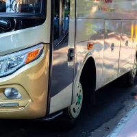 p{line-height: 1em;}Автобусные​ перевозки